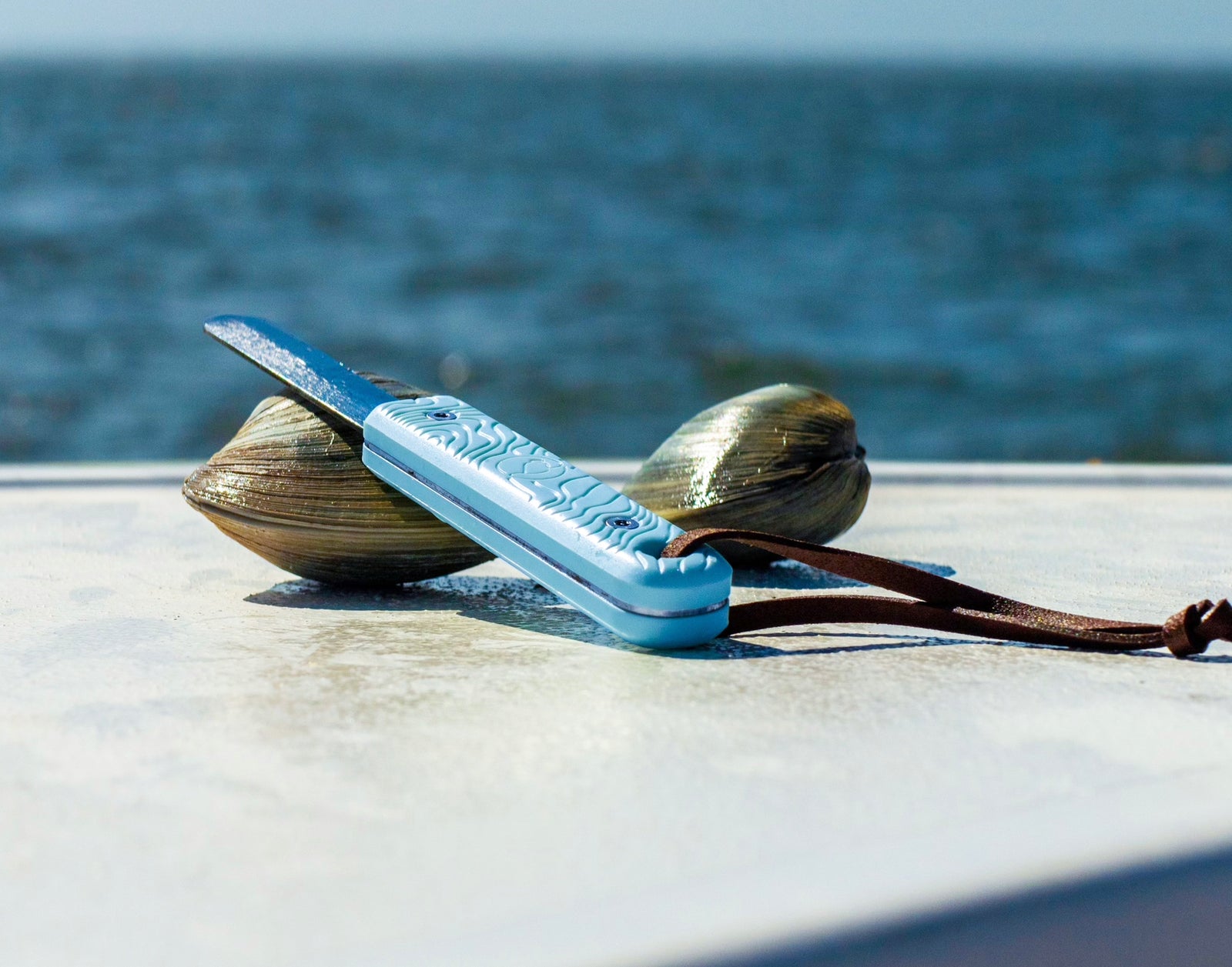 How to open a clam with the Jetsam Clam Knife